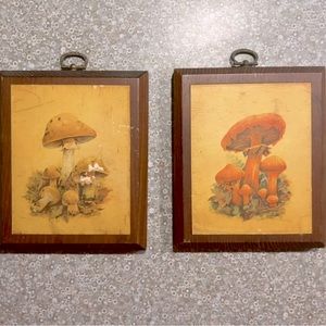 Small Vintage Mushroom Painting Set